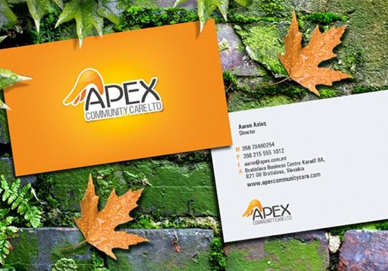 Corporate Identity  : CIK