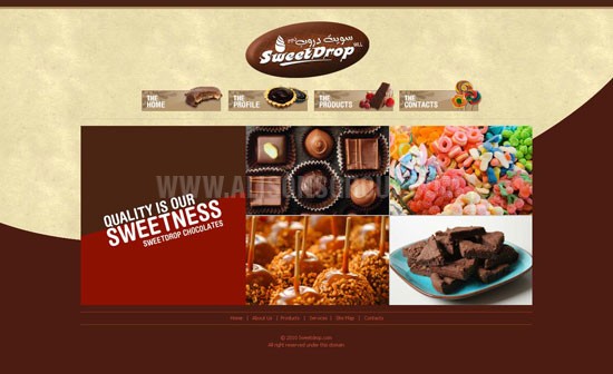Web Site Design: Web Site Design