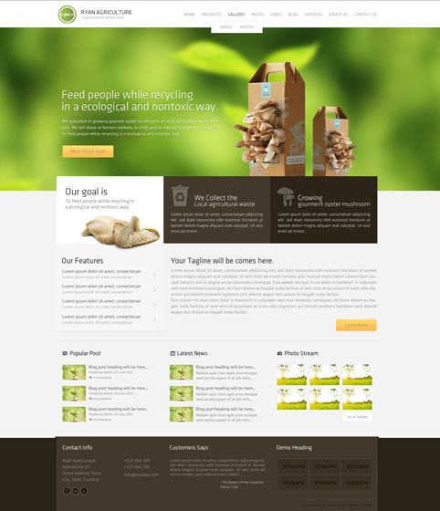 Web Site Design: Web Site Design